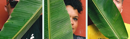 Sena DagaDub  Jungle Bells